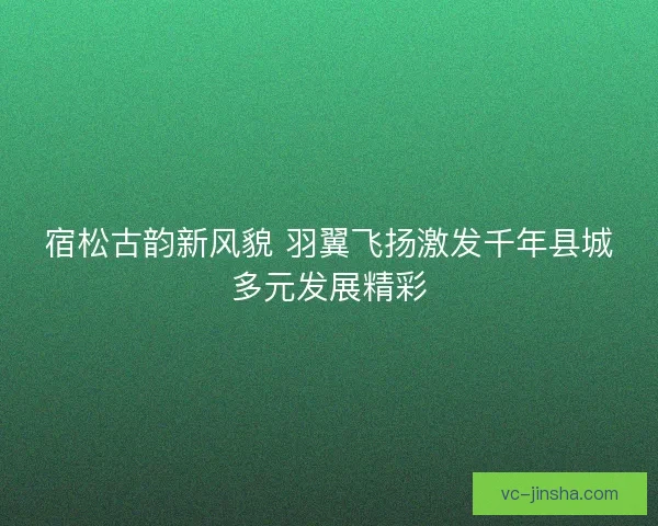 宿松古韵新风貌 羽翼飞扬激发千年县城多元发展精彩