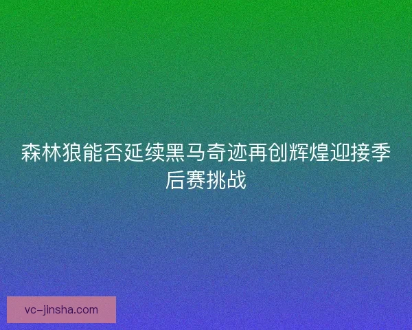 森林狼能否延续黑马奇迹再创辉煌迎接季后赛挑战